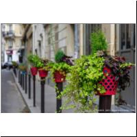 Paris, Blumenpoller 02.jpg